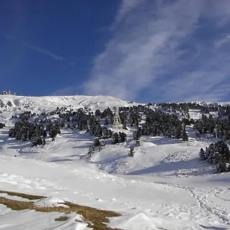 Les Arolles 10 Apartment Chamrousse